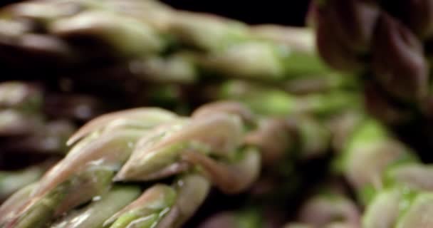 Свежий спаржа зеленый длинный овощной супер макрос закрыть — стоковое видео
