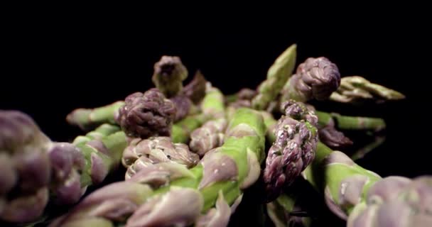 Fresh Asparagus green long vegetable super macro close up — Stock Video