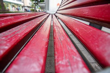 Şehrin ortasında park bankında..