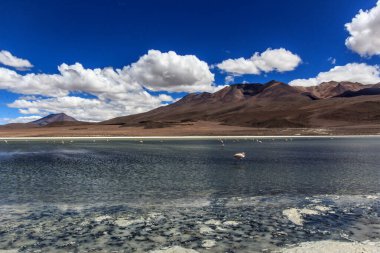 And 'lı Eduardo Avaroa Ulusal Vahşi Yaşam Rezervi, Bolivya, Güney Amerika