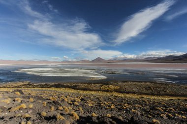 And 'lı Eduardo Avaroa Ulusal Vahşi Yaşam Rezervi, Bolivya, Güney Amerika