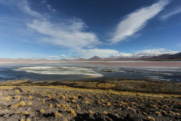 Andean Eduardo Avaroa National Wildlife Reserve Bolívie Jižní Amerika — Stock fotografie