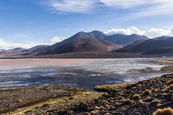 Άνδεων Eduardo Avaroa National Wildlife Reserve Βολιβία Νότια Αμερική — Φωτογραφία Αρχείου