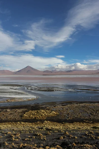 Άνδεων Eduardo Avaroa National Wildlife Reserve Βολιβία Νότια Αμερική — Φωτογραφία Αρχείου