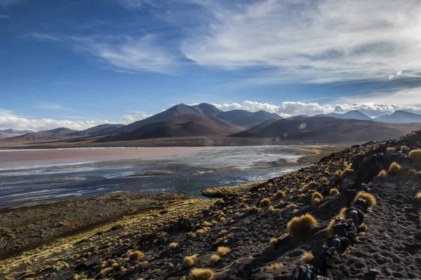 Άνδεων Eduardo Avaroa National Wildlife Reserve Βολιβία Νότια Αμερική — Φωτογραφία Αρχείου