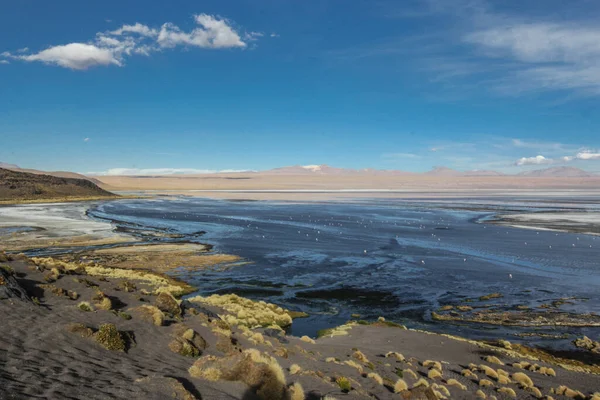 Άνδεων Eduardo Avaroa National Wildlife Reserve Βολιβία Νότια Αμερική — Φωτογραφία Αρχείου