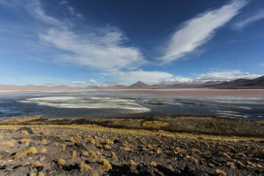 And 'lı Eduardo Avaroa Ulusal Vahşi Yaşam Rezervi, Bolivya, Güney Amerika