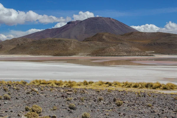 Pohled Národní Park Andské Fauny Eduardo Avaroa Horami Pozadí Bolívie — Stock fotografie