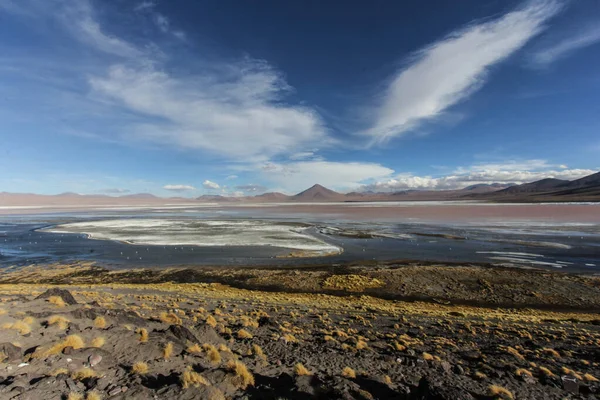 Eduardo Avaroa Ulusal Vahşi Yaşam Rezervi Bolivya Güney Amerika — Stok fotoğraf