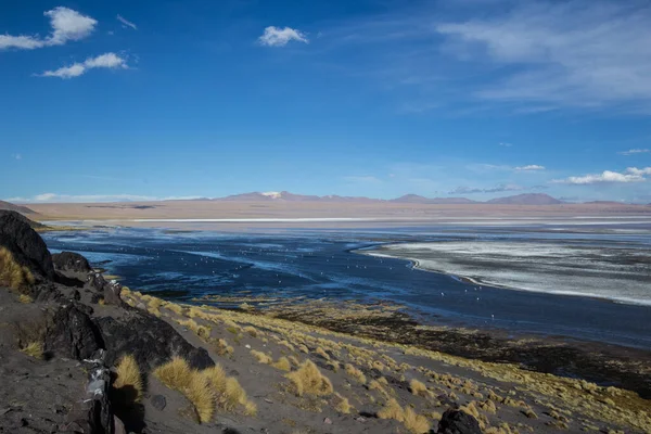 Andean Eduardo Avaroa National Wildlife Reserve Bolívie Jižní Amerika — Stock fotografie