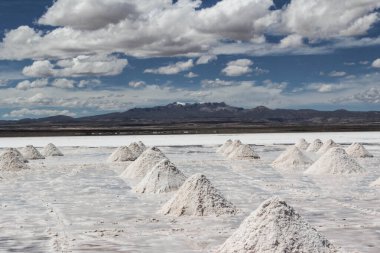 Bolivya 'daki uyuni tuzlu çölü manzarası