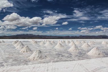 Bolivya 'daki uyuni tuzlu çölü manzarası
