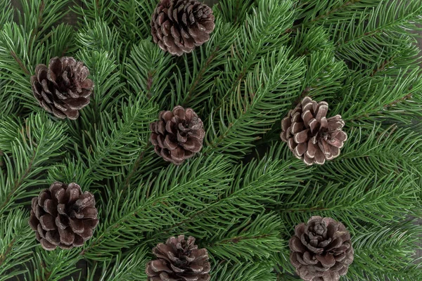 Background Christmas Fir Tree Branches — Stock Photo, Image