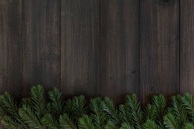 Karanlık rustik ahşap arka plan WIT Tarih: Noel köknar ağacı dalları