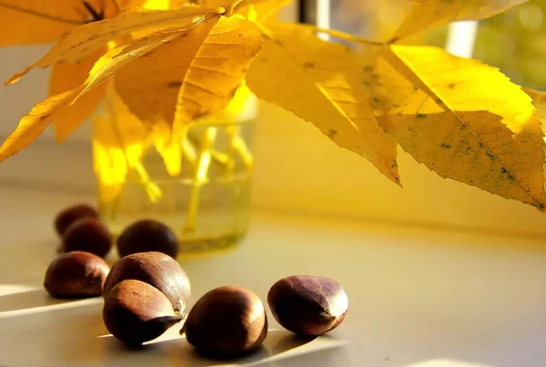 Осенний Натюрморт Использованием Каштанов Желтых Листьев — стоковое фото