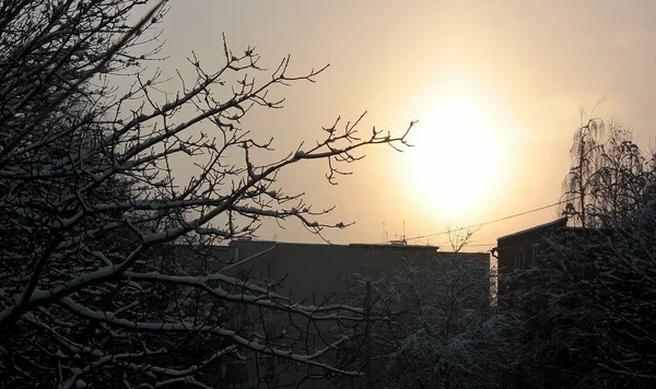 Winter Landscape Setting Huge Dim Sun Twilight — Stock Photo, Image
