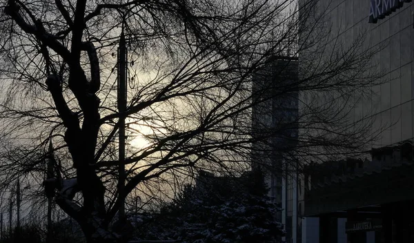 Soğuk Kış Şafağı Uyuyan Bir Şehrin Sokaklarında — Stok fotoğraf