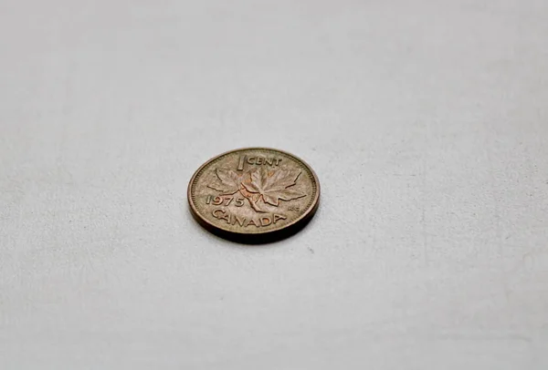 One Canadian Cent Macro Close White Background — Stock Photo, Image