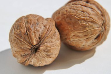 Derisi olmayan ceviz meyvesi yakın plan, beyaz arka planda doğal ışıkta makro, beyaz arka planda hindistan cevizi.