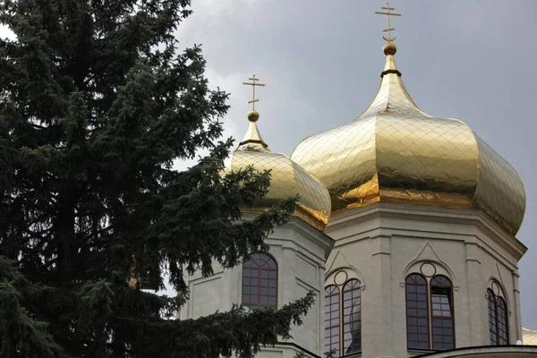 Cúpulas Douradas Igreja Ortodoxa Russa Visíveis Através Ramos Abeto Contra — Fotografia de Stock