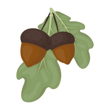 Meşe palamudu simgesi beyaz arka plan üzerinde izole karikatür tarzı. Kanadalı Şükran günü sembol stok vektör çizim.