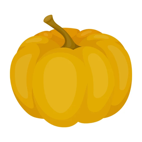 Pumpa ikonen i tecknad stil isolerad på vit bakgrund. Kanadensiska Thanksgiving Day symbol lager vektorillustration. — Stock vektor
