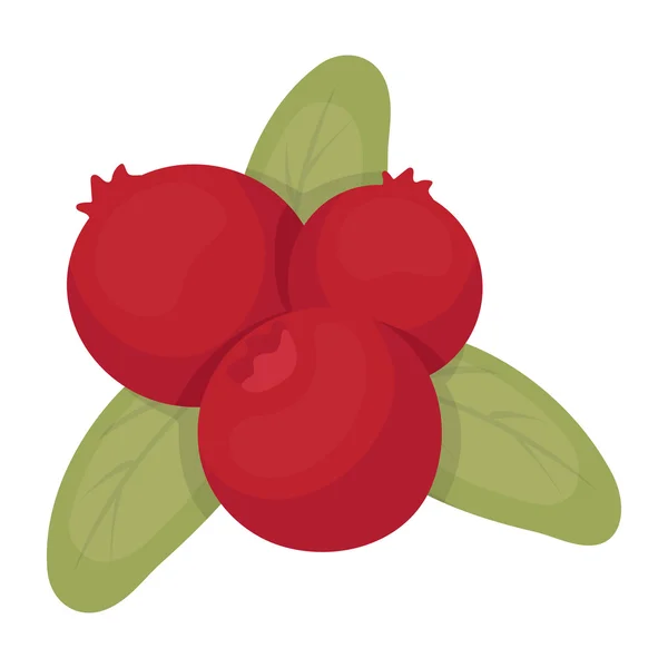 Ícone de cranberry em estilo cartoon isolado no fundo branco. Dia de Ação de Graças canadense símbolo estoque vetor ilustração . — Vetor de Stock