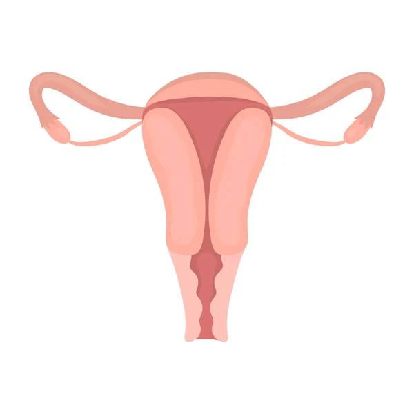 Uterus icon in cartoon style isolated on white background. Pregnancy symbol stock vector illustration. — Stock Vector