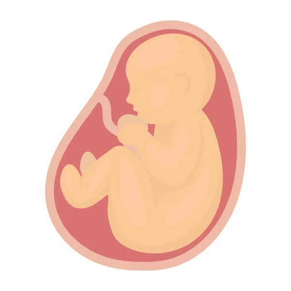 Het pictogram van de foetus in cartoon stijl geïsoleerd op een witte achtergrond. Zwangerschap symbool voorraad vectorillustratie. — Stockvector