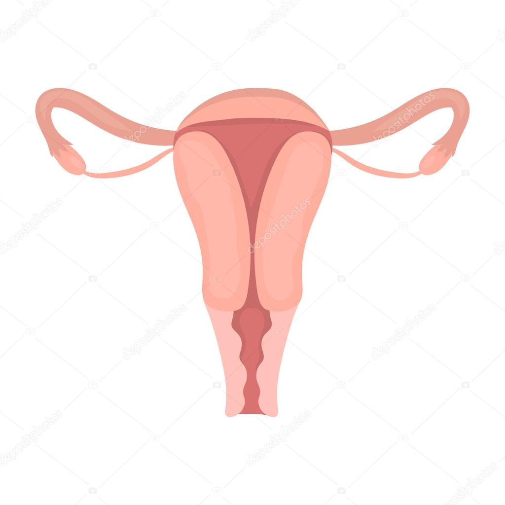 Uterus icon in cartoon style isolated on white background. Pregnancy symbol stock vector illustration.