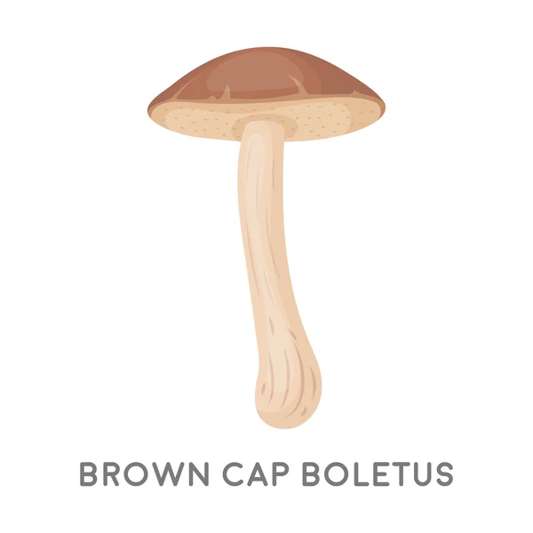 Icono de boletus de gorra marrón en estilo de dibujos animados aislado sobre fondo blanco. Seta símbolo stock vector ilustración . — Vector de stock