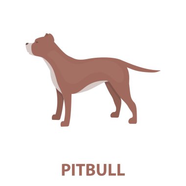 Pitbull rastr simgesi karikatür tarzı web için