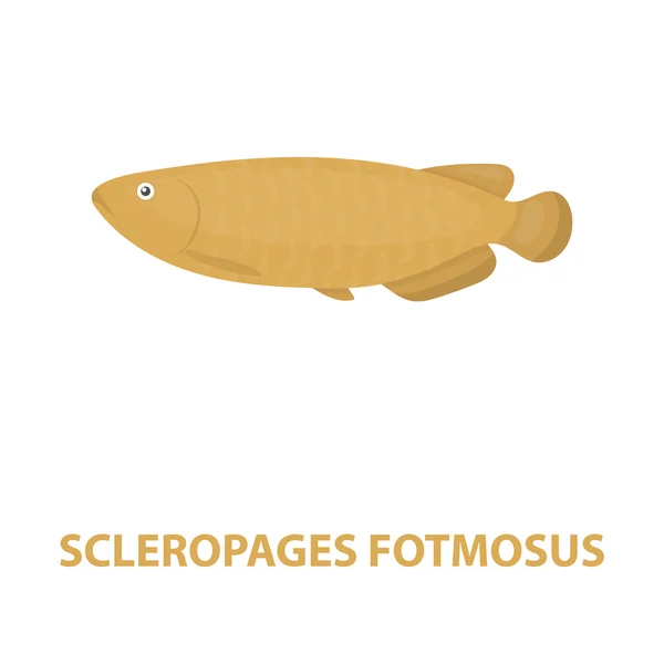 Scleropages fotmosus ryby karikatura ikony. Připálit akvarijních ryb ikonu z moře, oceánu života kreslené. — Stock fotografie