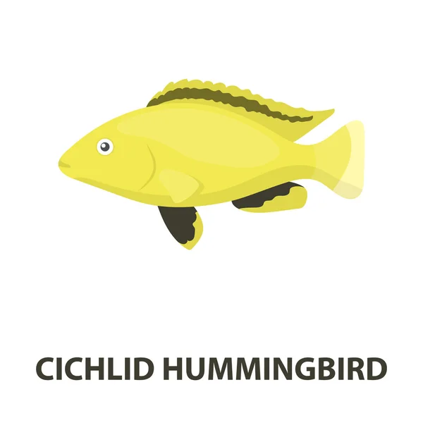 Cichlid kolibřík ryb ikonu kreslený. Připálit akvarijních ryb ikonu z moře, oceánu života kreslené. — Stock fotografie