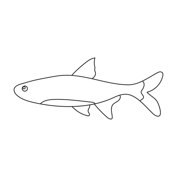 Neon fish icon line. Singe aquarium fish icon from the sea,ocean life set. — Stock Photo, Image