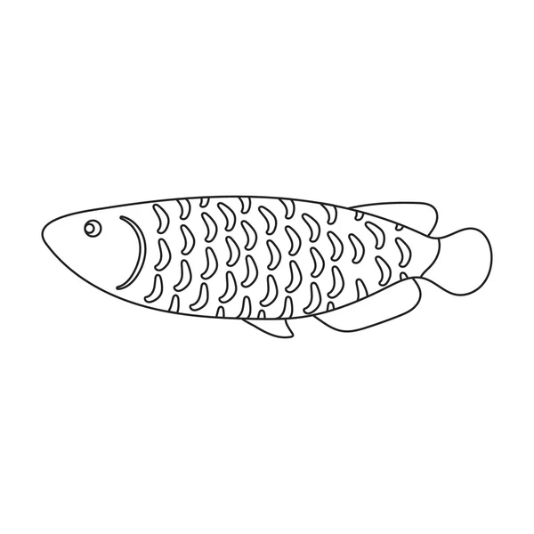 Scleropages fotmosus vissen pictogram lijn. Aquarium vissen icoon uit de zee, oceaan leven set singe. — Stockfoto