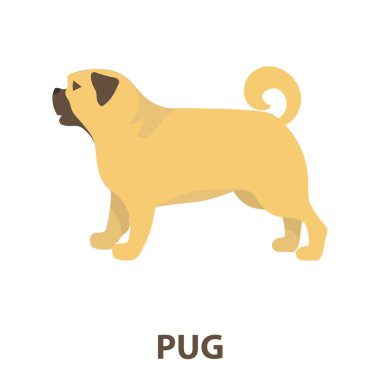 Pug rastr simgesi karikatür tarzı web için