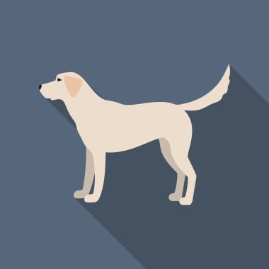 Labrador rastr simgesi web için düz stilde