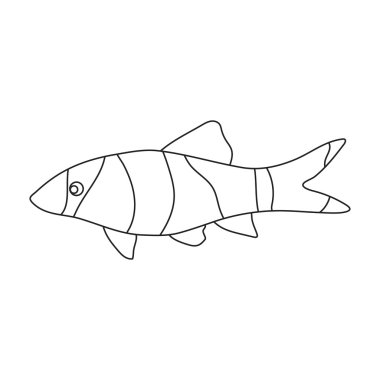 Botia palyaço Botia macracantha balık simgesi hattı. Akvaryum balık deniz, okyanus yaşam kümesi simgesinden tek.