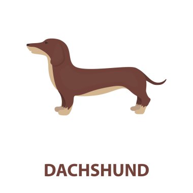 Dachshund rastr simgesi karikatür tarzı web için