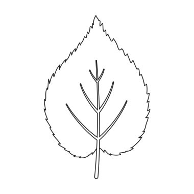 Linden yaprak rastr simgesinde web için çizgi stili