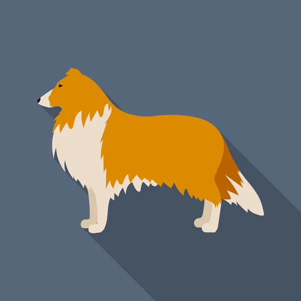 Collie rastr icon in flat style for web — Stock Photo, Image