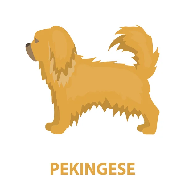 Pekingský palácový psík rastr ikonu v kreslený styl pro web — Stock fotografie