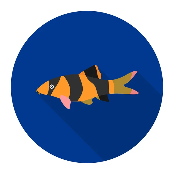 Бойя клоун Бойя Макраканта икона рыбы плоской. Одинокая аквариумная икона из моря, океанская жизнь плоская . — стоковое фото