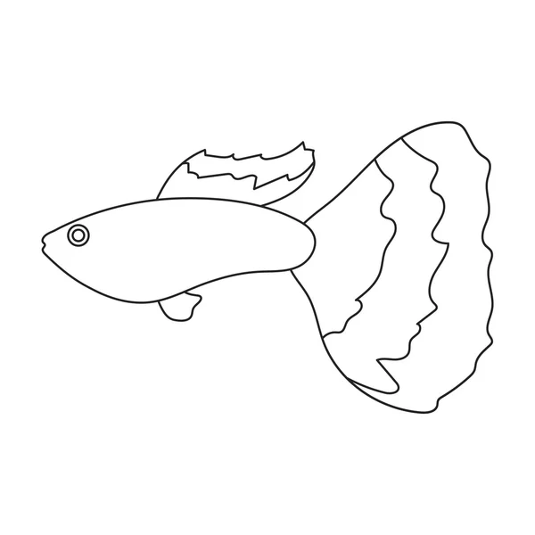 Guppy fisk ikonen linje. Singe akvarium fisk ikonen från havet, ocean liv set. — Stockfoto