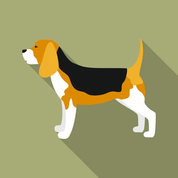 Beagle rastr icon in flat style for web — Stock Photo, Image