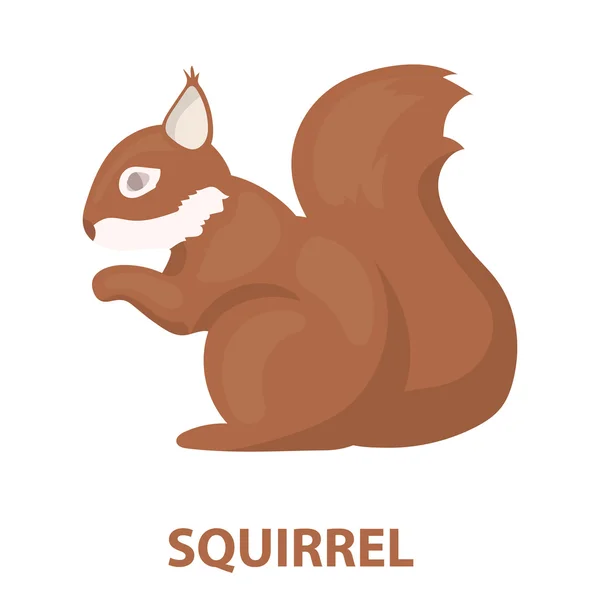 Squirrel rastr icon in cartoon style for web — Stock Photo, Image