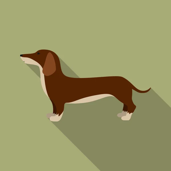 Dachshund rastr icon in flat style for web — Stock Photo, Image