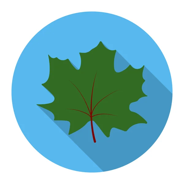 Akçaağaç yaprağı rastr simgesi web için düz stilde — Stok fotoğraf