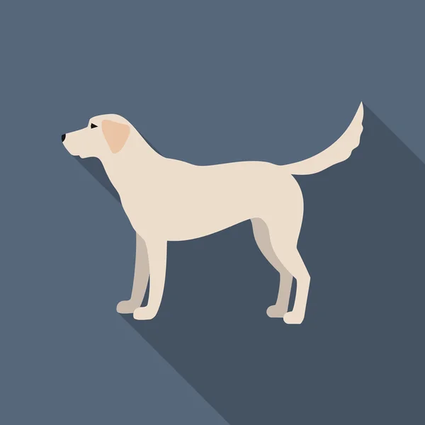 Labrador rastr icon in flat style for web — Stock Photo, Image